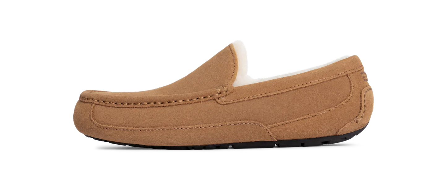 Chausson UGG Ascot Chestnut