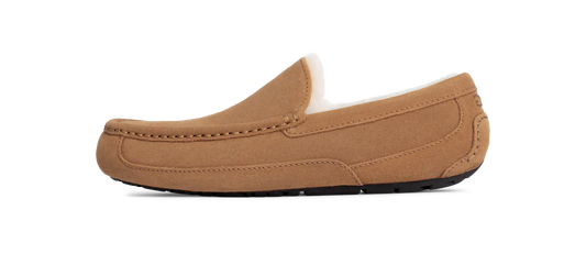 Chausson UGG Ascot Chestnut